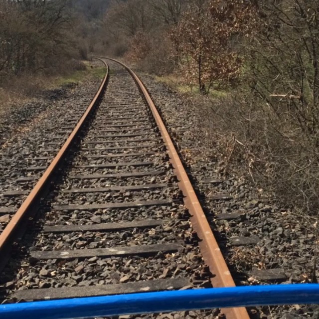 Jetzt so, Fahrraddraisine in der Pfalz
