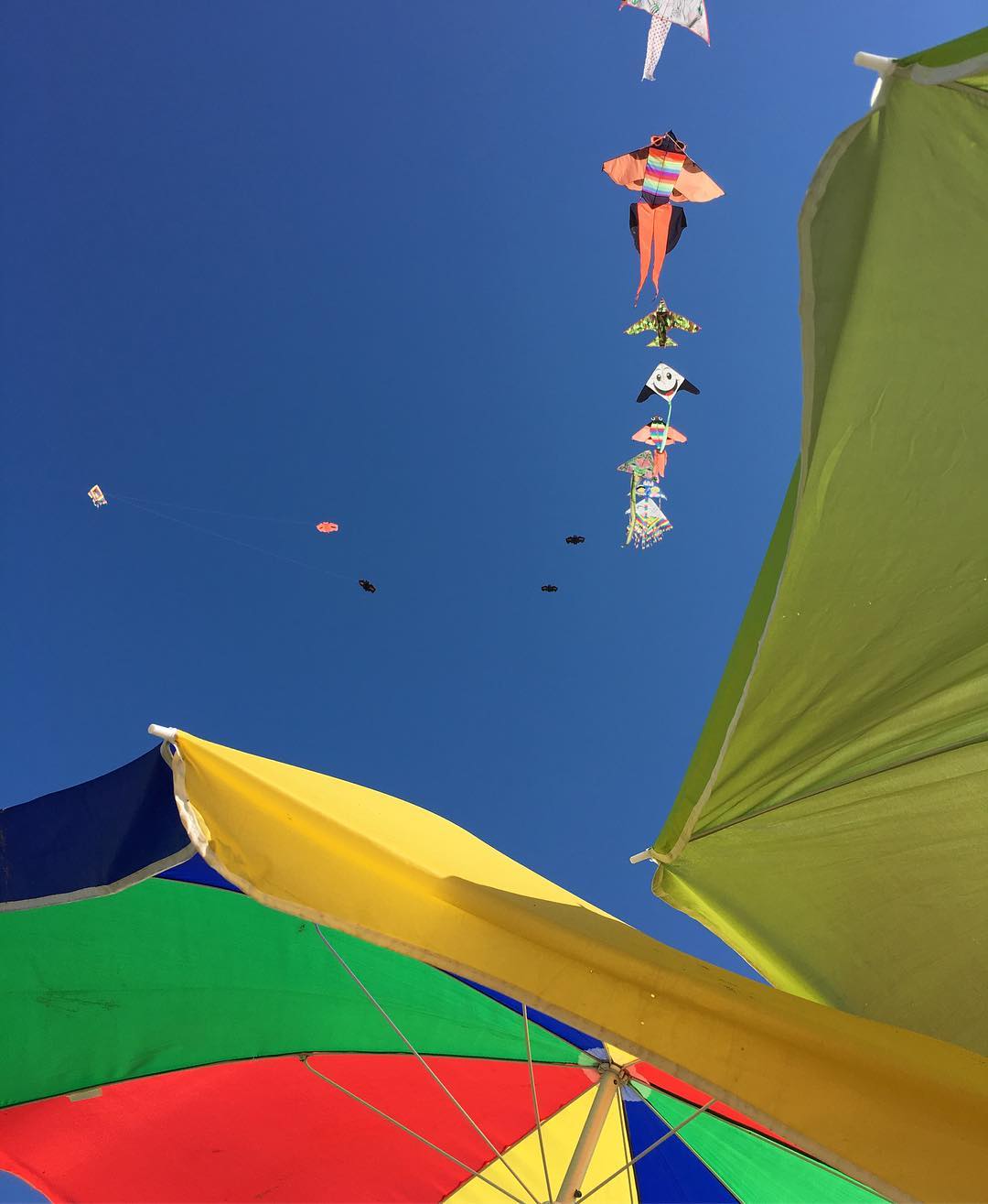 Colors at the Beach