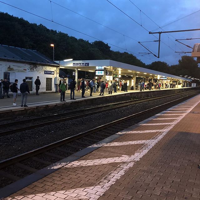 Bahn stellt den Zugverkehr zwischen Kiel und Hamburg ein und wer ist mittendrin?
